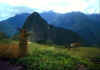 Peru Machu Pichu2.jpg (41620 Byte)